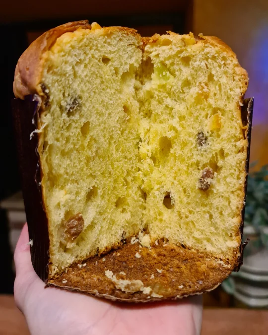 Foto 3 di 4 della creazione «Panettone ai canditi»