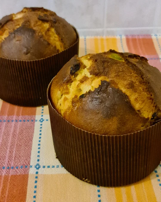 Foto della creazione «Panettone ai canditi»