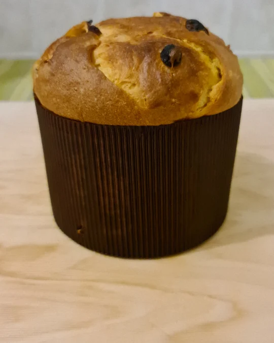 Foto 2 di 4 della creazione «Panettone ai canditi»