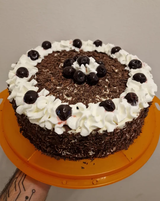 Foto della creazione «Foresta Nera»