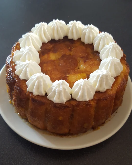 Foto 2 di 2 della creazione «Charlotte alle mele, brandy, cannella e confettura di albicocche»