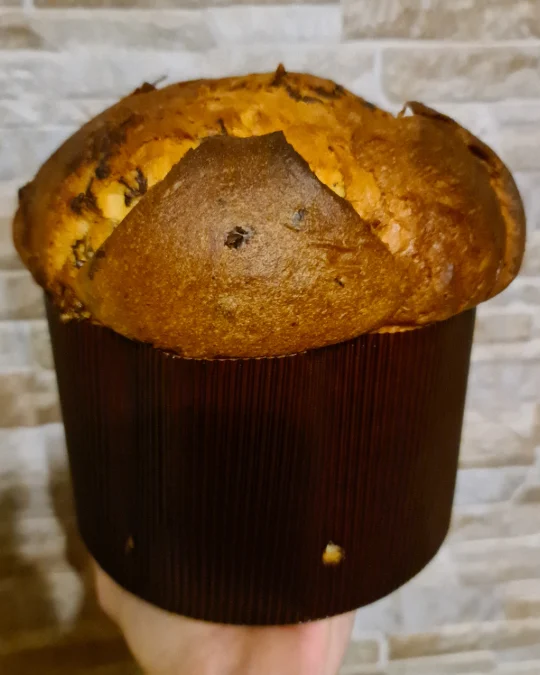 Foto della creazione «Panettone con gocce di cioccolato»