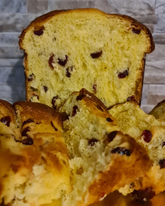 Foto 3 di 3 della creazione «Panettone con gocce di cioccolato»