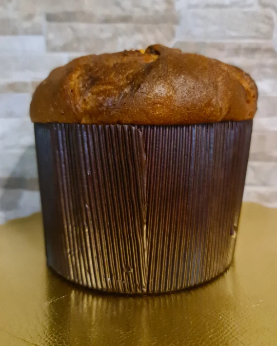Foto 4 di 4 della creazione «Panettone ai canditi»