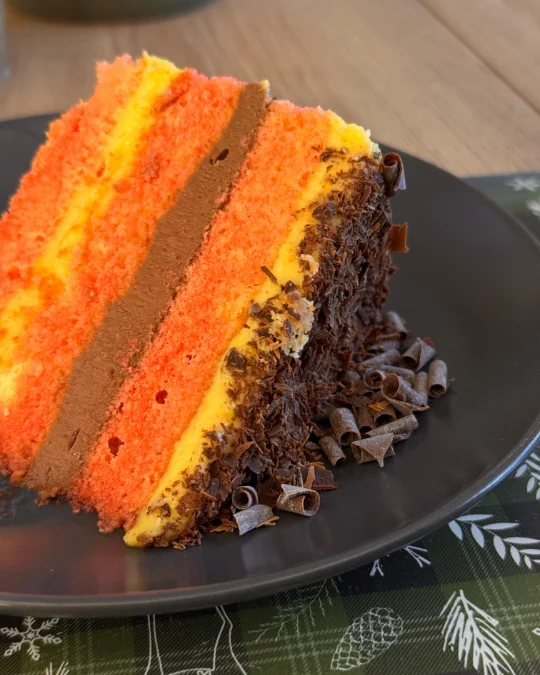 Foto 3 di 3 della creazione «Torta Charlotte Zuppa Inglese»