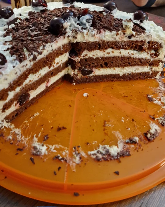 Foto 2 di 2 della creazione «Foresta Nera»